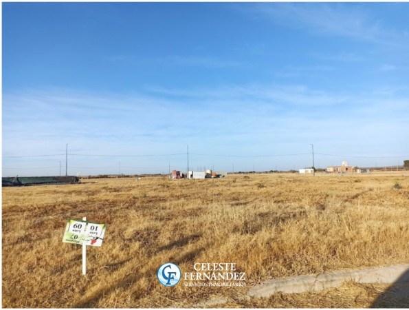 VENTA LOTES - Barrio La Ernestina