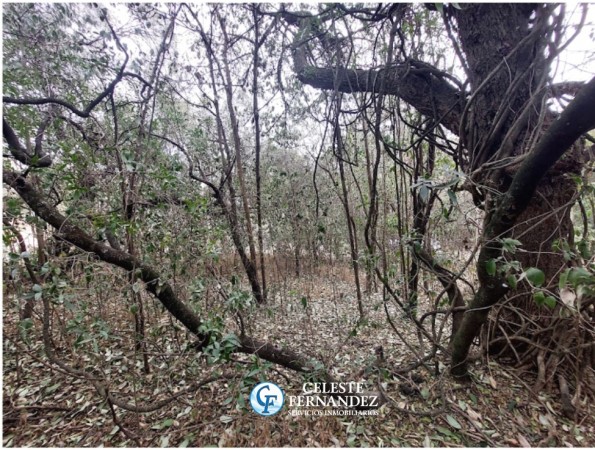 VENTA LOTE - Agua de Oro